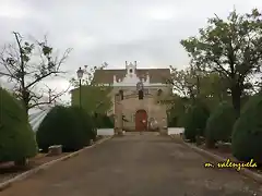 007, la Ermita, marca