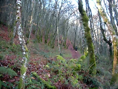 DSCN2084 DSCN2084