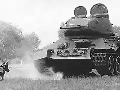 Perro bomba ruso antes de destruir tanque alemn WWII
