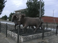 R0010780
