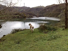 08032008032