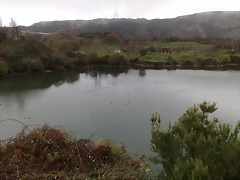 16112008163