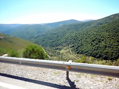 DSCN8459 DSCN8459