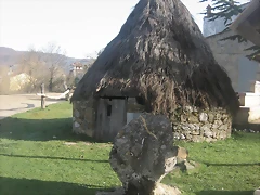 IMG_2312 IMG_2312