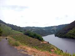 DSCN3465 DSCN3465