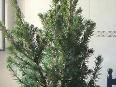 P1130006