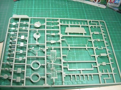 DSCN2730 DSCN2730