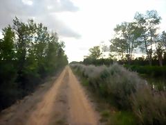 DSCN8068 DSCN8068
