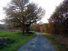 DSCN0701