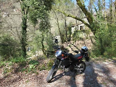 Fervenza 029r Fervenza 029r