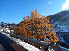 DSCN9085 DSCN9085