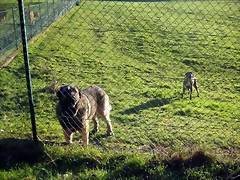 IMG_0500 IMG_0500