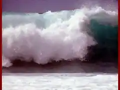 tsunami