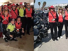 conil42 conil42