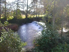 DSCN0095 DSCN0095