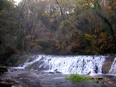 DSCN0001