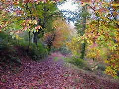 DSCN0047 DSCN0047