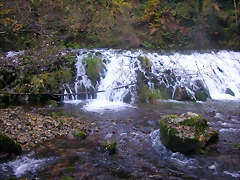 DSCN0004