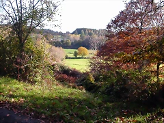 DSCN0023 DSCN0023