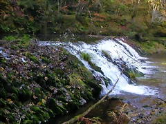DSCN0006