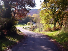 DSCN0019 DSCN0019