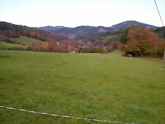 DSCN0039 DSCN0039