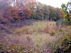 DSCN0048 DSCN0048