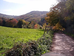 DSCN0074 DSCN0074