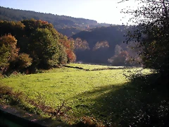 DSCN9990 DSCN9990