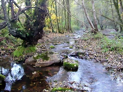 DSCN0003