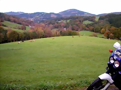 DSCN0040 DSCN0040