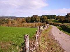 DSCN0088 DSCN0088