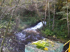 DSCN9989 DSCN9989