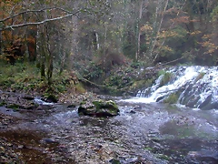 DSCN0002