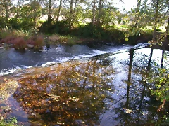 DSCN0094 DSCN0094