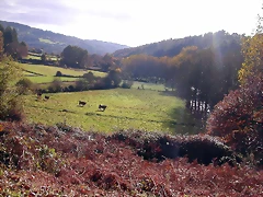 DSCN0017 DSCN0017