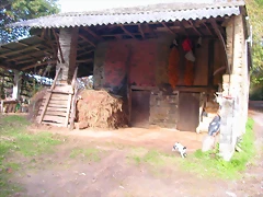 DSCN0025 DSCN0025