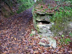 DSCN0030 DSCN0030