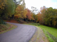 DSCN0041 DSCN0041