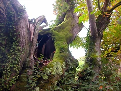 DSCN0050 DSCN0050