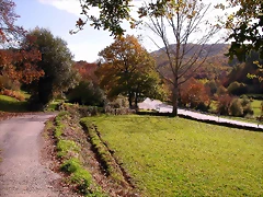 DSCN0075 DSCN0075