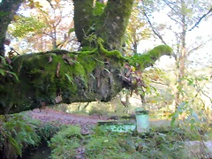 DSCN9980 DSCN9980