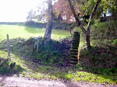 DSCN0026 DSCN0026