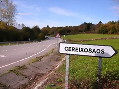 DSCN0076 DSCN0076