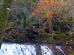 DSCN0009 DSCN0009