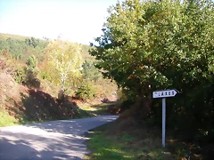 DSCN0014 DSCN0014