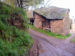 DSCN0031 DSCN0031