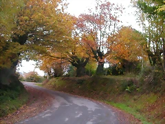 DSCN0042 DSCN0042