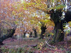 DSCN0051 DSCN0051
