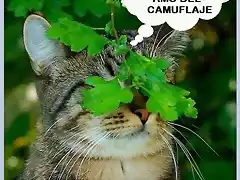 camuflaje